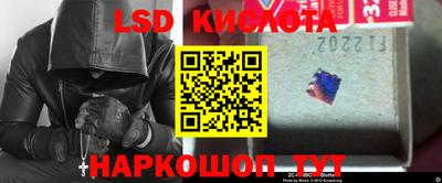 шишки Заволжье