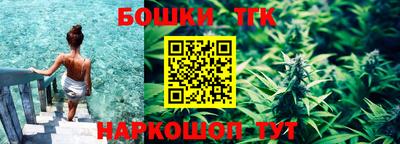 шишки Заволжье