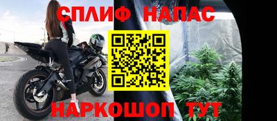 шишки Заволжье