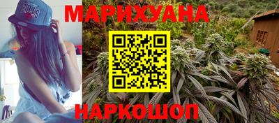 шишки Заволжье