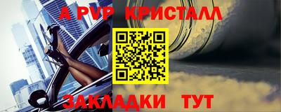 шишки Заволжье