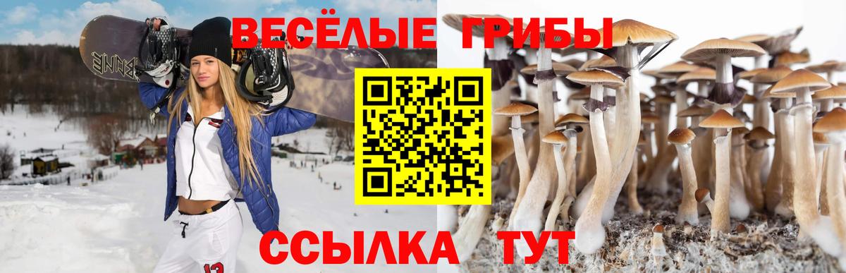 Лабинск  Галлюциногенные грибы Psilocybe  Вход с VPN 